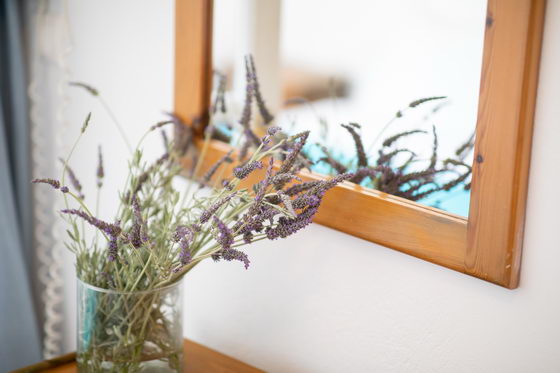 Hotel Antonina Junior Suite